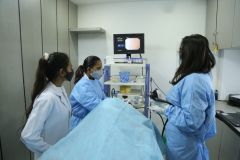 Dr. Ankita Gupta - Colonoscopy