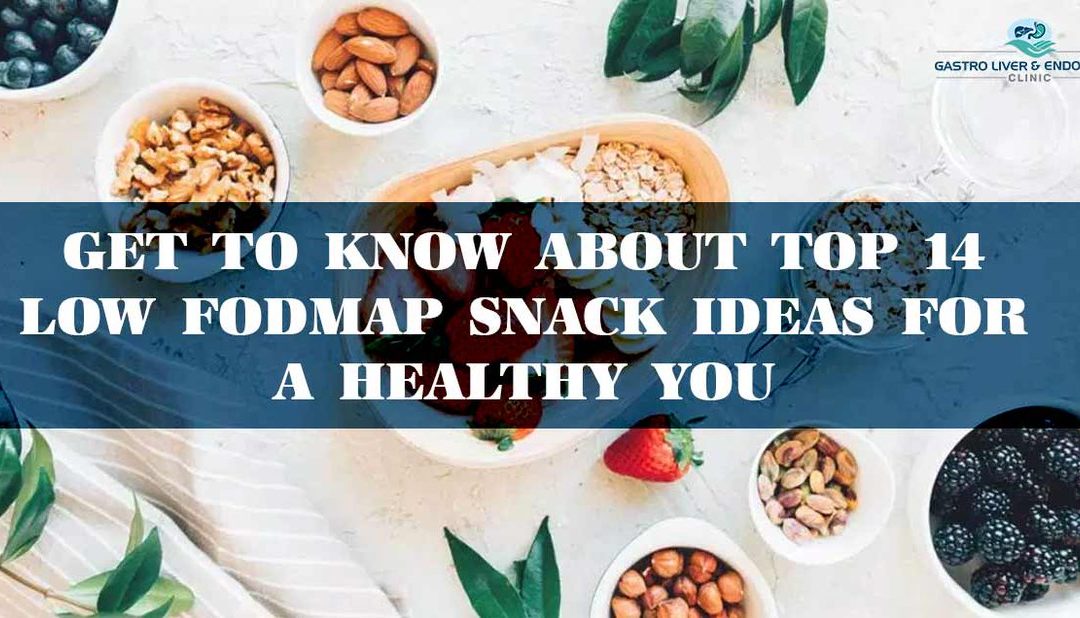 Get To Know About Top 14 Low FODMAP Snack Ideas For A Healthy You